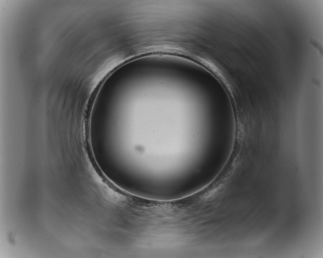 X0000101710999200807101600