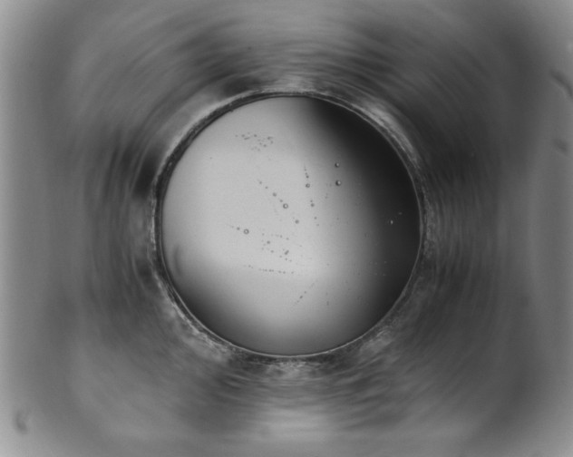 X0000101711000200807101600