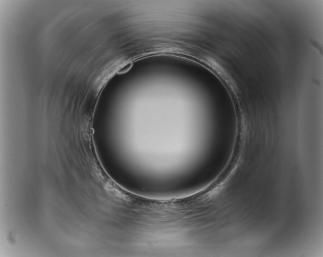 X0000101711001200807101600