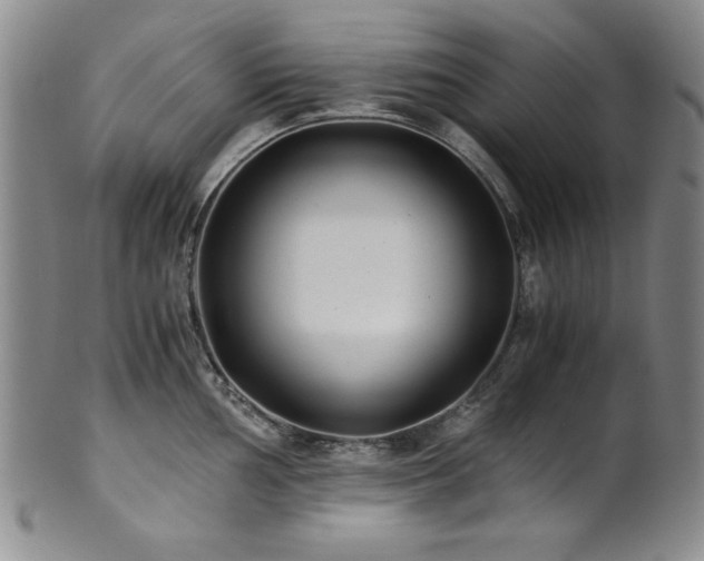 X0000101711002200807101600