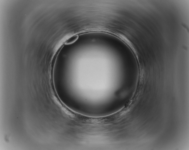 X0000101711005200807101600