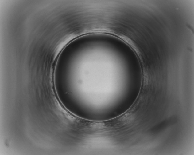 X0000101711006200807101600