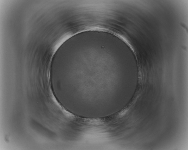 X0000101711007200807101600