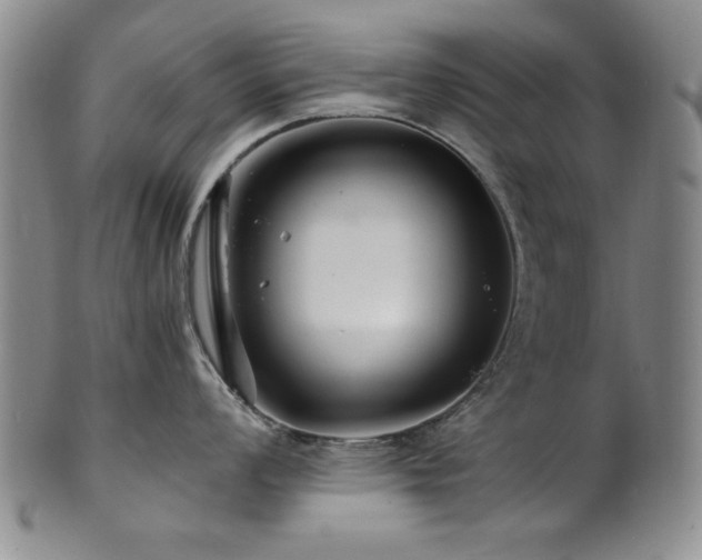 X0000101711008200807101600