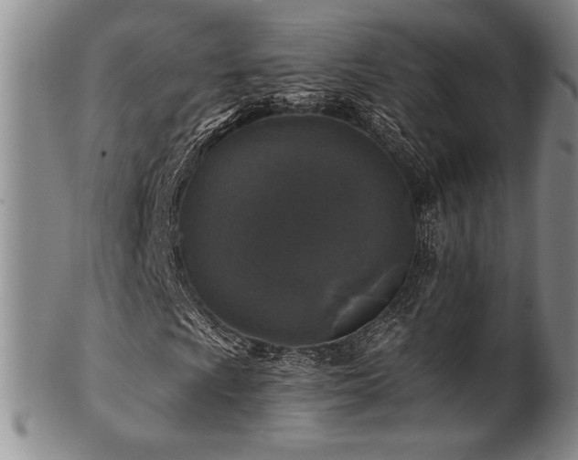 X0000101711009200807101559