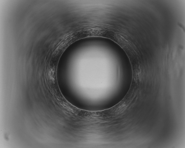 X0000101711010200807101559