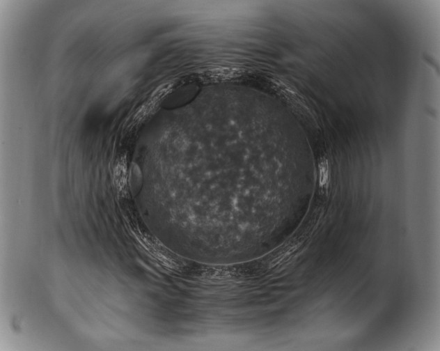 X0000101711011200807101559