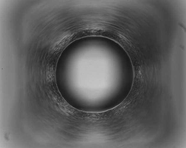 X0000101711014200807101559