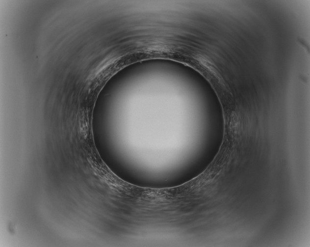 X0000101711015200807101559