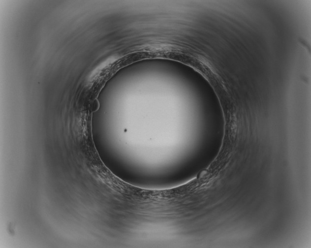 X0000101711016200807101559