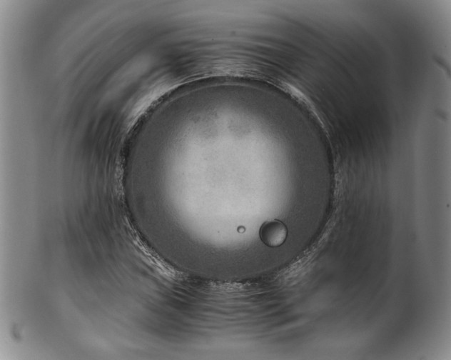 X0000101711019200807101559