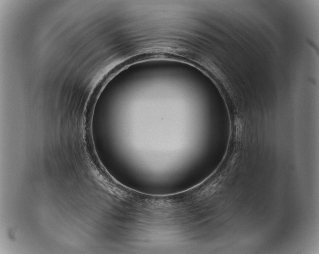 X0000101711020200807101559