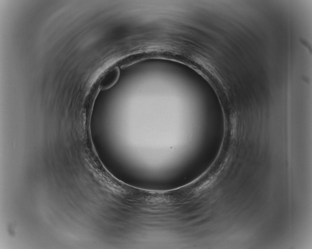 X0000101711021200807101559