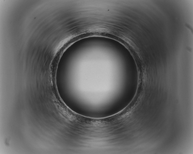 X0000101711022200807101559