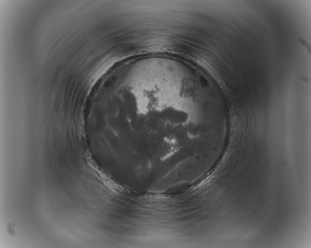 X0000101711023200807101559
