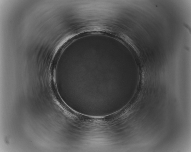 X0000101711024200807101559