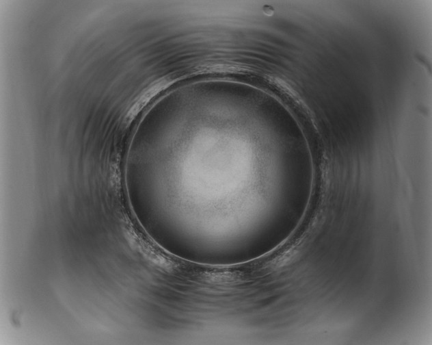 X0000101711025200807101559