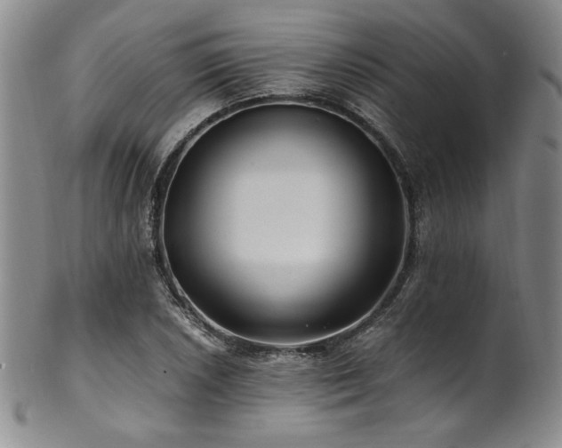 X0000101711026200807101600