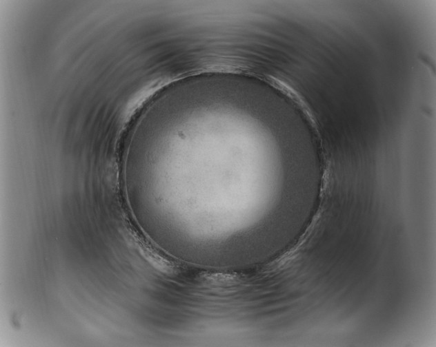 X0000101711027200807101600