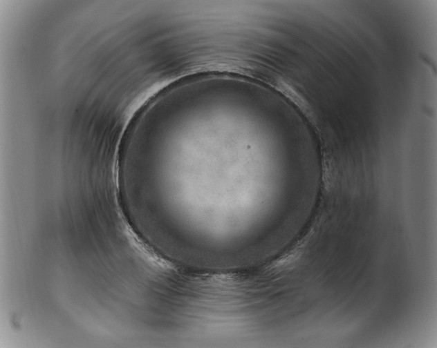X0000101711028200807101600