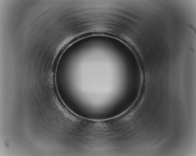 X0000101711029200807101600