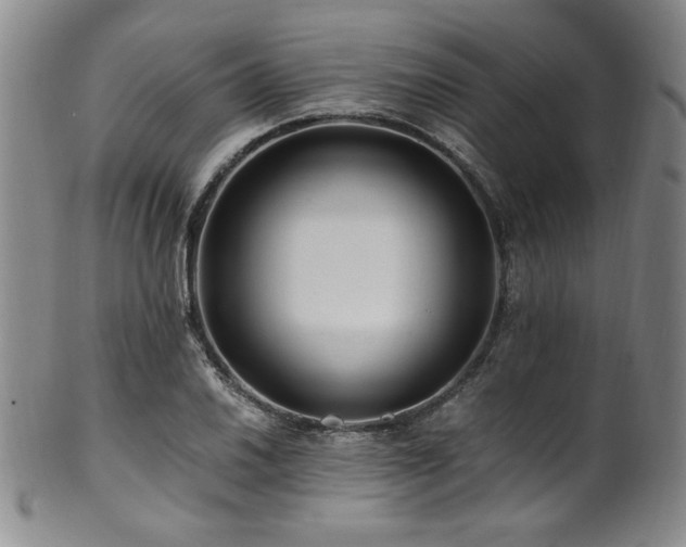 X0000101711030200807101600