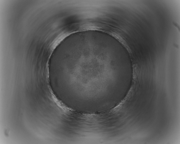 X0000101711031200807101600