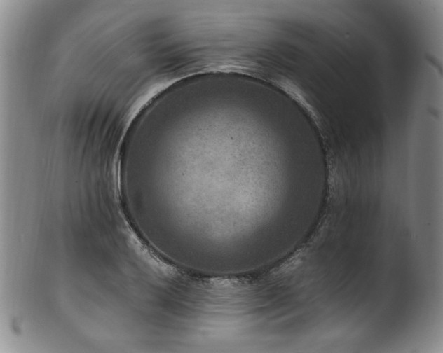 X0000101711032200807101600