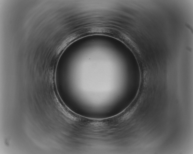 X0000101711033200807101600