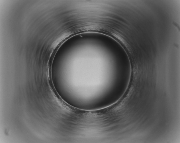 X0000101711034200807101600