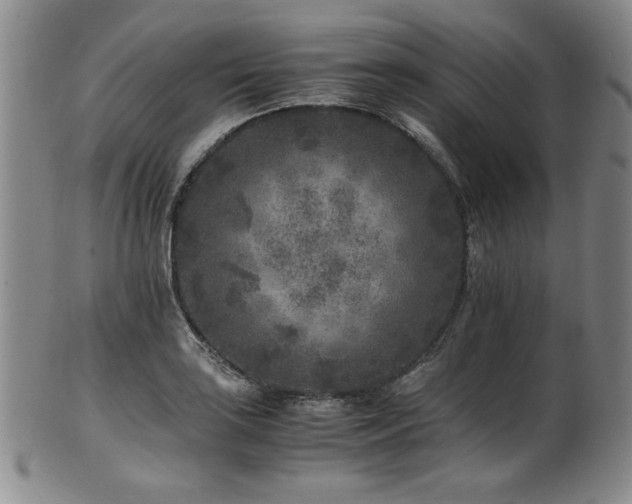 X0000101711035200807101600
