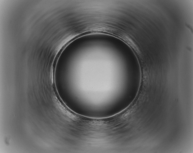 X0000101711036200807101600