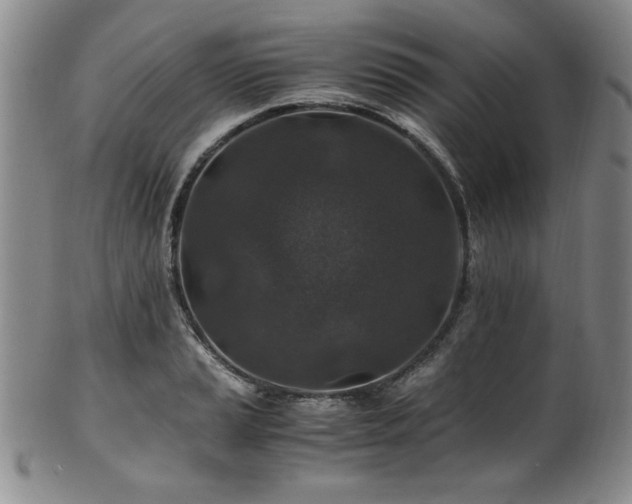 X0000101711037200807101600
