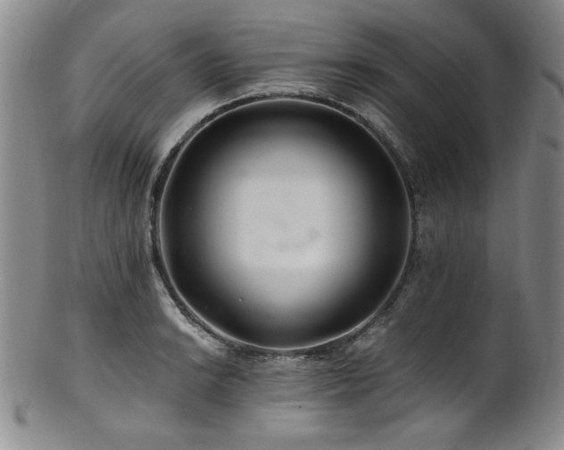 X0000101711038200807101600