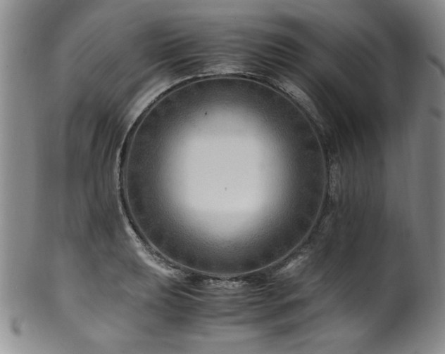 X0000101711039200807101600