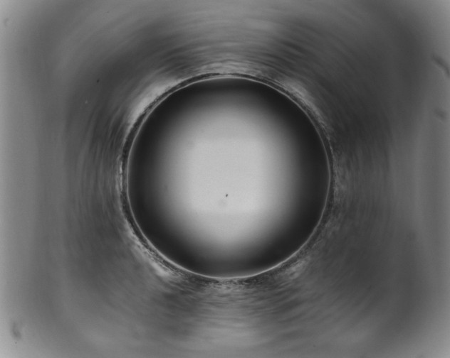 X0000101711040200807101600