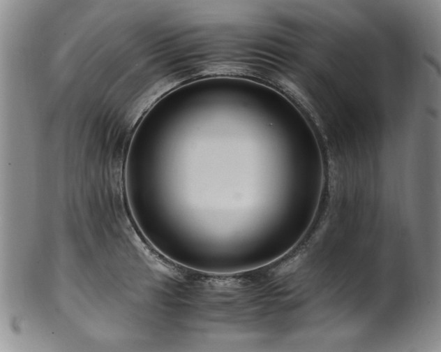 X0000101711041200807101600