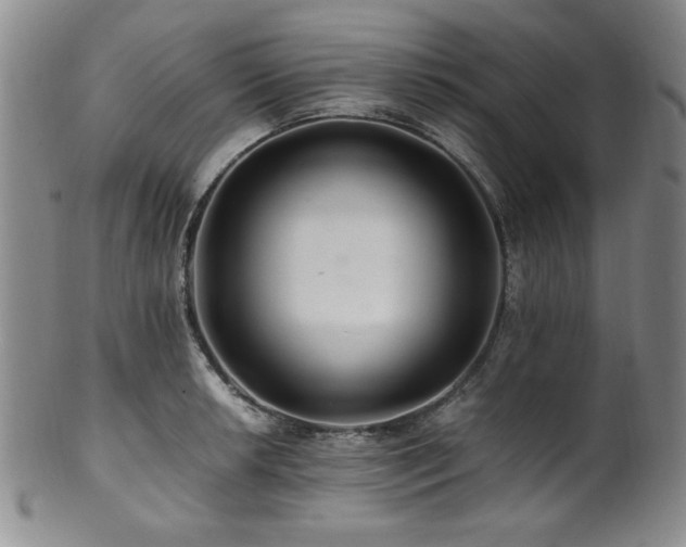 X0000101711042200807101600