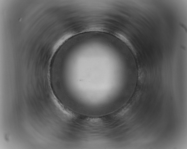 X0000101711043200807101600