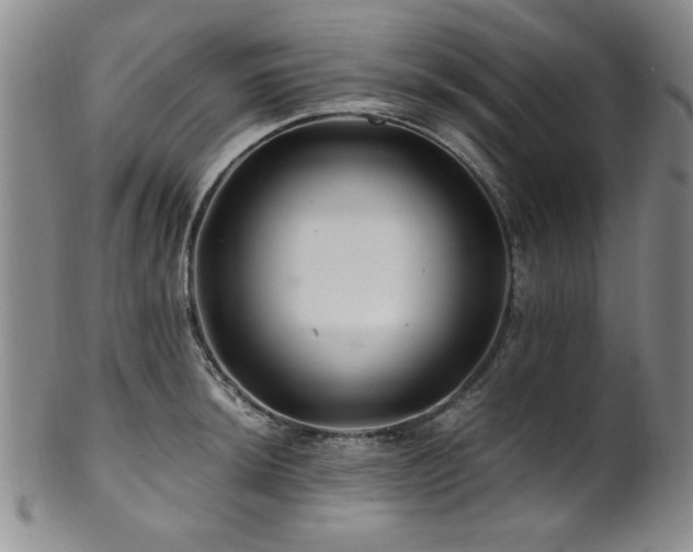X0000101711044200807101600