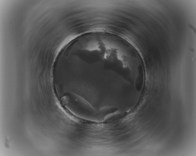 X0000101711045200807101600