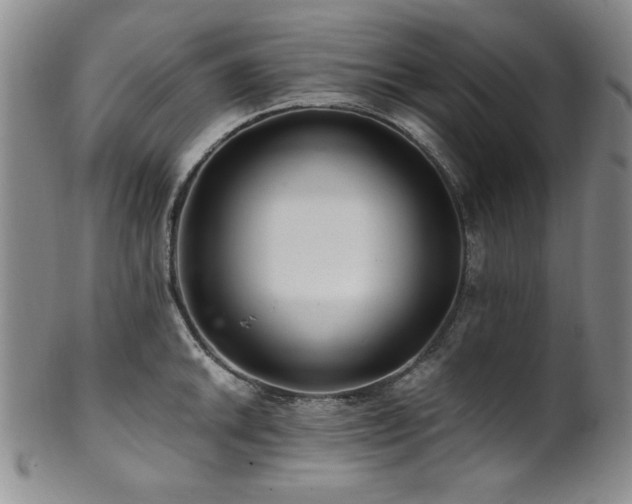 X0000101711046200807101600