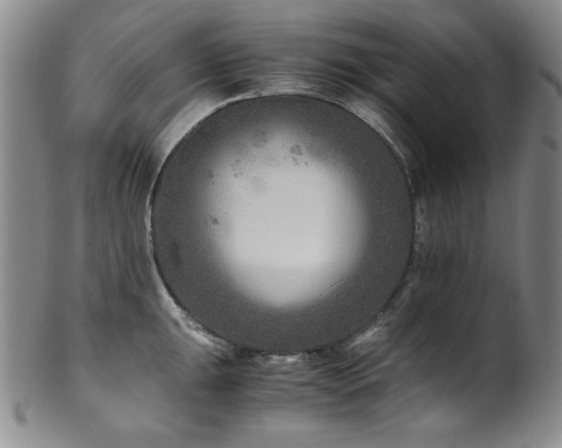 X0000101711047200807101600