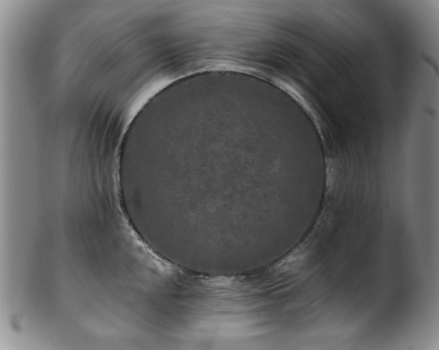 X0000101711048200807101600