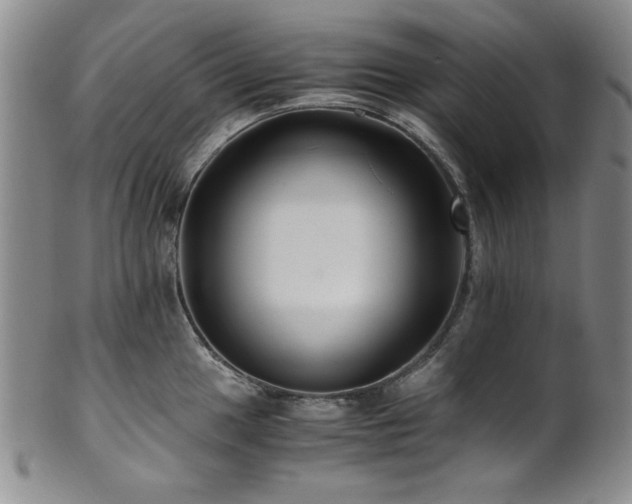 X0000101711049200807101600