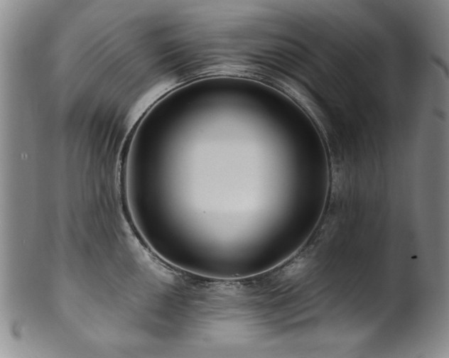 X0000101711050200807101600