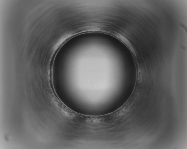 X0000101711051200807101600
