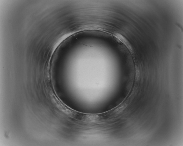 X0000101711052200807101600