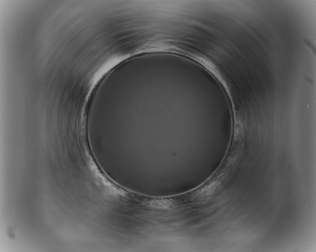 X0000101711053200807101600