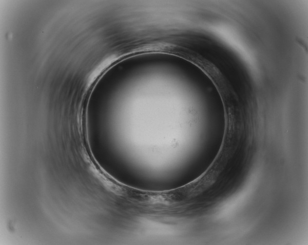 X0000101711054200807101600